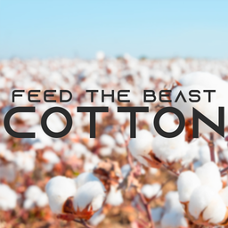 FTB: Cotton server hosting