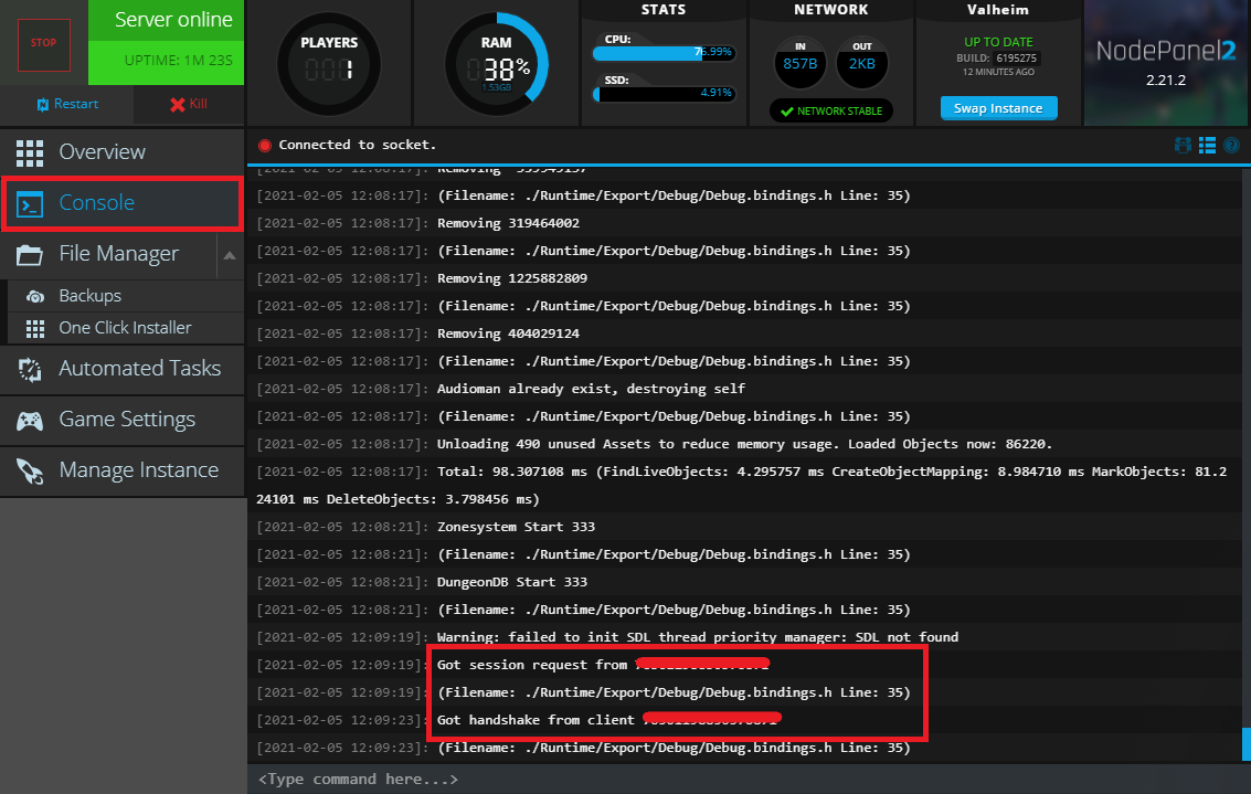 Finding the Player Id for a Valheim server in the NodePanel Console