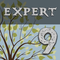 Enigmatica 9: Expert - E9E server hosting